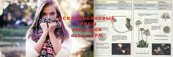 ALPHA-PVP Алексеевка