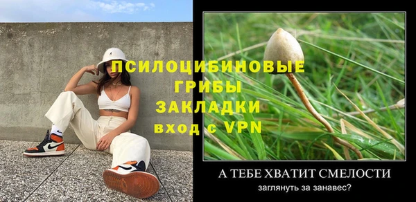 ALPHA-PVP Алексеевка