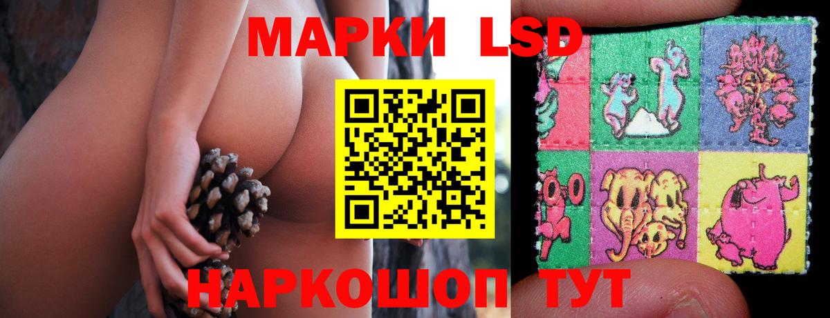 блэк спрут вход  LSD-25 экстази кислота  Вход с VPN  Южно-Сахалинск 