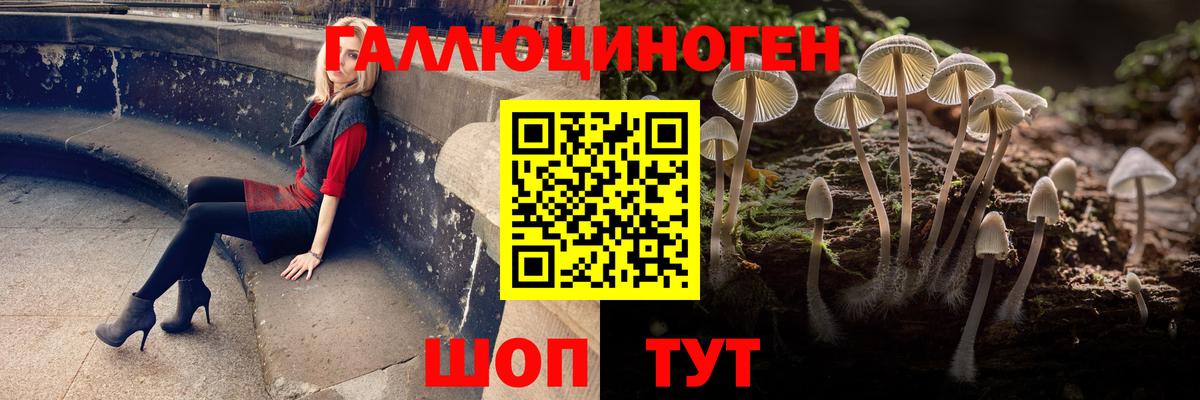 Галлюциногенные грибы мухоморы Южно-Сахалинск